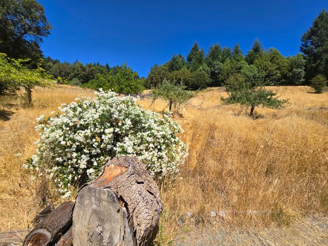 80000 & 80010 Ebert Lane, Garberville, CA 95542