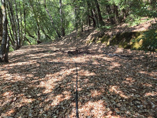 80000 & 80010 Ebert Lane, Garberville, CA 95542