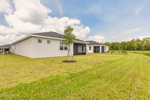3246 Tiger Palm Way, New Smyrna Beach, FL 32168