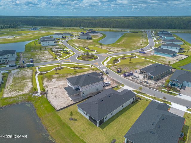 3246 Tiger Palm Way, New Smyrna Beach, FL 32168
