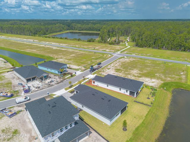 3246 Tiger Palm Way, New Smyrna Beach, FL 32168