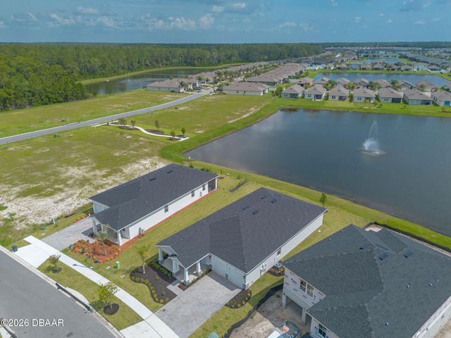 3246 Tiger Palm Way, New Smyrna Beach, FL 32168