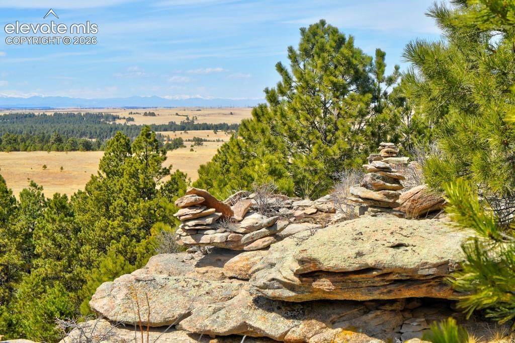 18673 N Elbert Road, Elbert, CO 80106 — photo 4