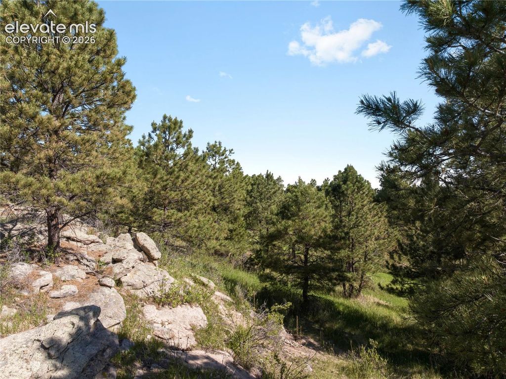 18673 N Elbert Road, Elbert, CO 80106 — photo 5