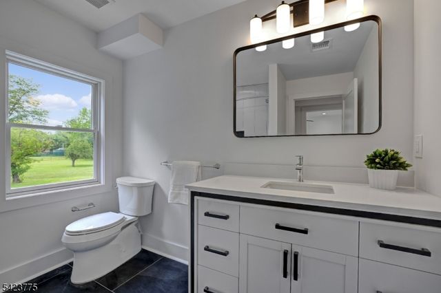 6 Brook St, Peapack Gladstone Boro, NJ 07977