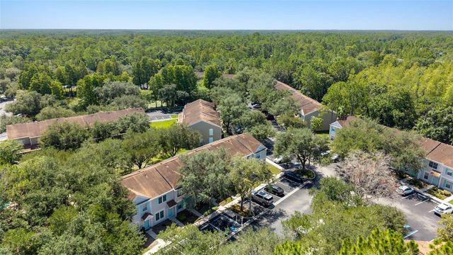 17403 FLATWOODS KEY DRIVE, Tampa, FL 33647