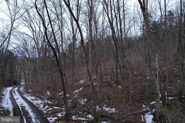 480 BEYLORS FERRY RD, Rileyville, VA 22650