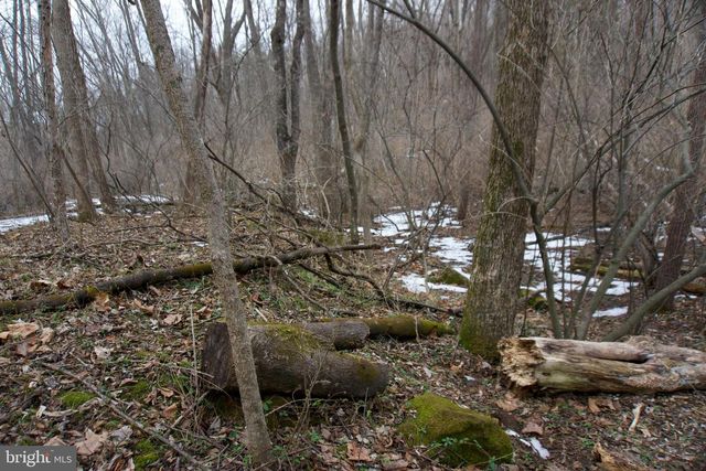 480 BEYLORS FERRY RD, Rileyville, VA 22650