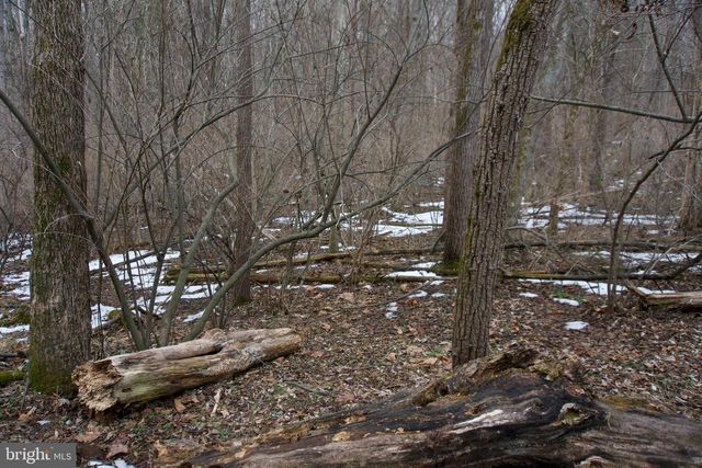 480 BEYLORS FERRY RD, Rileyville, VA 22650