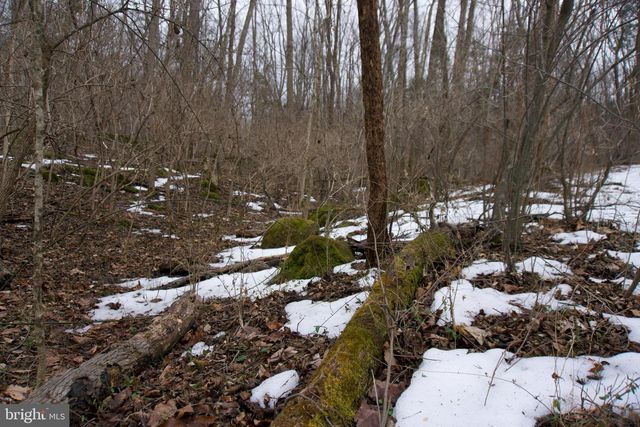 480 BEYLORS FERRY RD, Rileyville, VA 22650