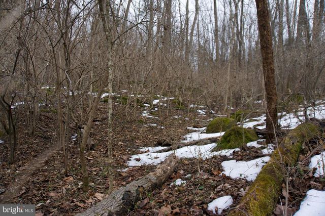 480 BEYLORS FERRY RD, Rileyville, VA 22650