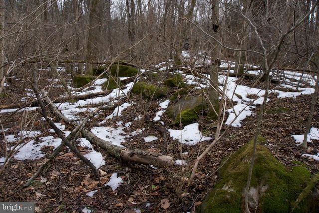 480 BEYLORS FERRY RD, Rileyville, VA 22650