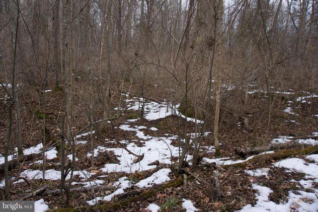 480 BEYLORS FERRY RD, Rileyville, VA 22650