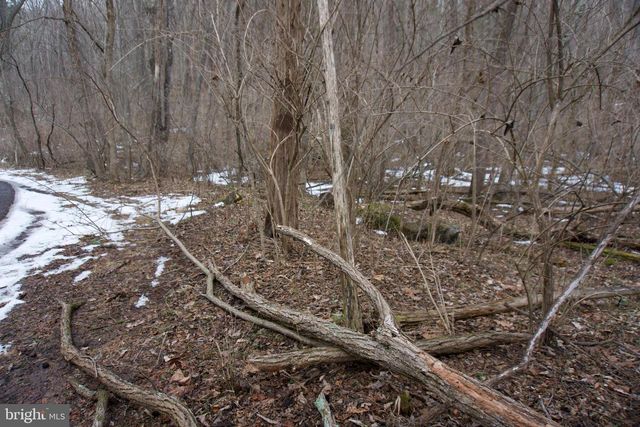 480 BEYLORS FERRY RD, Rileyville, VA 22650