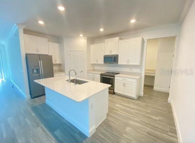 9967 RED BAY LOOP, Land O Lakes, FL 34637