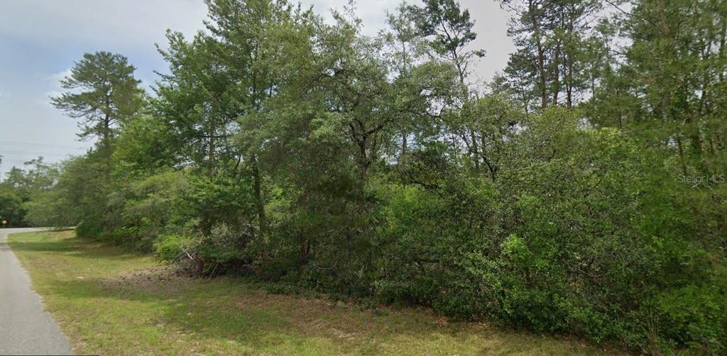 TBD SW 31 COURT, Ocala, FL 34473