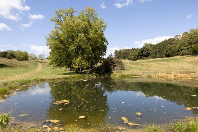 1370 MIDDLEBROOK RD, Staunton, VA 24401