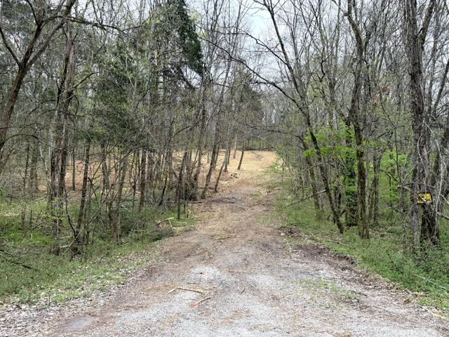 0 Saddle Lane, Hartsville, TN 37074
