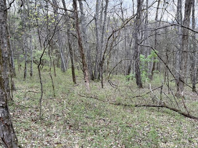 0 Saddle Lane, Hartsville, TN 37074