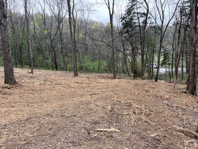 0 Saddle Lane, Hartsville, TN 37074