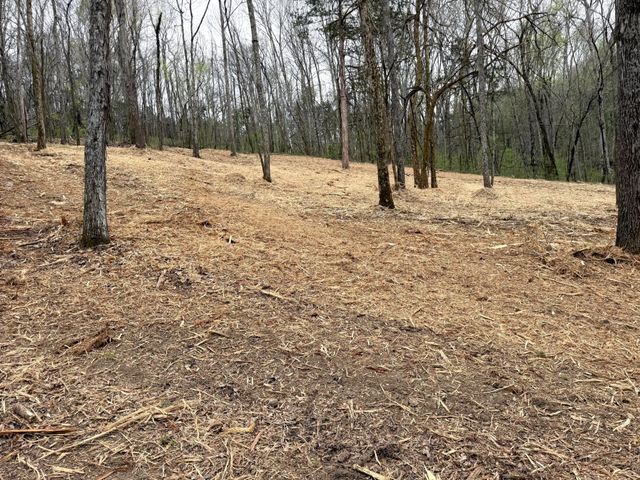 0 Saddle Lane, Hartsville, TN 37074