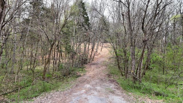 0 Saddle Lane, Hartsville, TN 37074