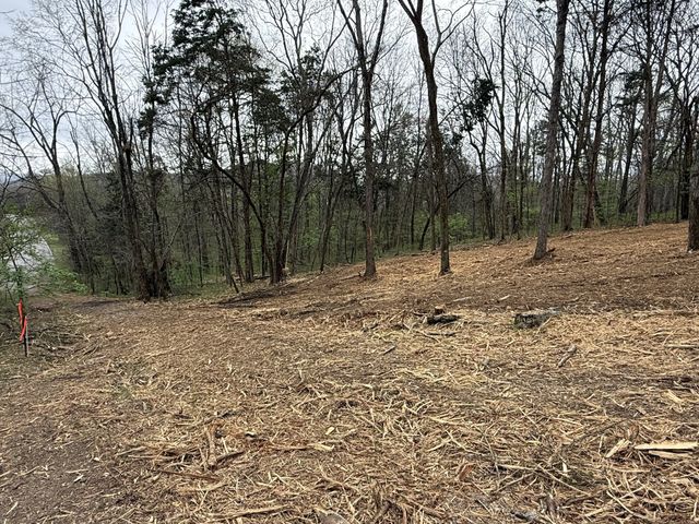 0 Saddle Lane, Hartsville, TN 37074