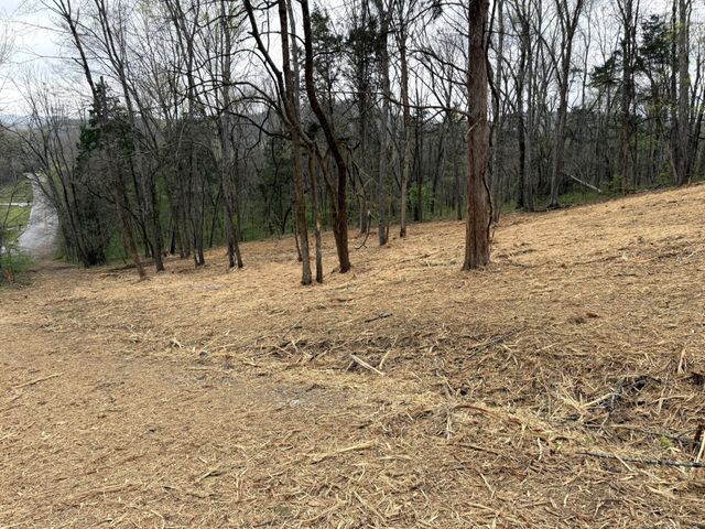 0 Saddle Lane, Hartsville, TN 37074