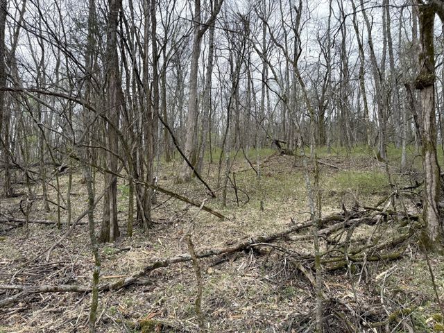 0 Saddle Lane, Hartsville, TN 37074
