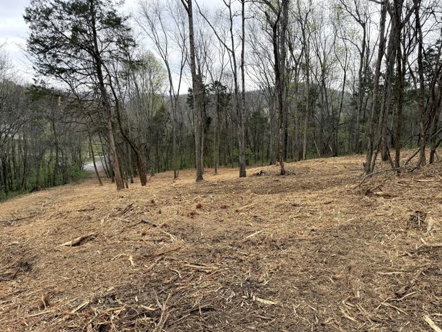 0 Saddle Lane, Hartsville, TN 37074