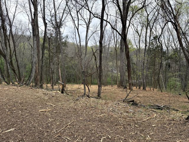 0 Saddle Lane, Hartsville, TN 37074