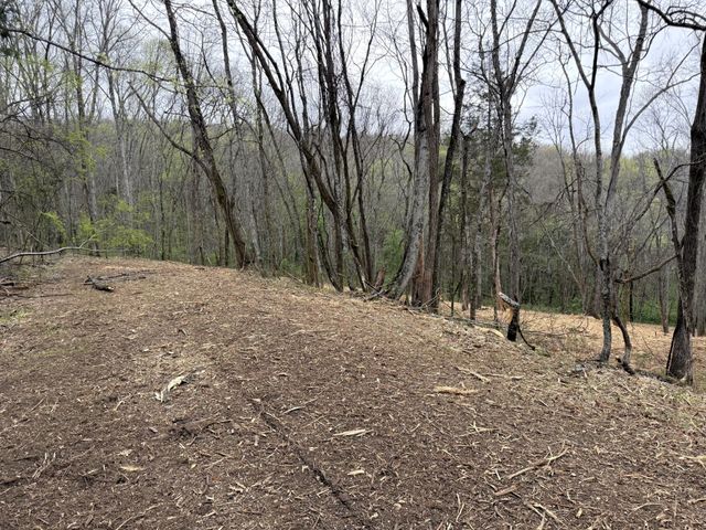 0 Saddle Lane, Hartsville, TN 37074
