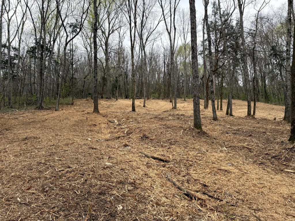 0 Saddle Lane, Hartsville, TN 37074