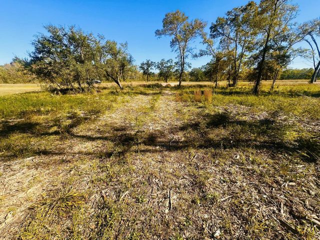 32002 Amberjack Drive, Richwood, TX 77515