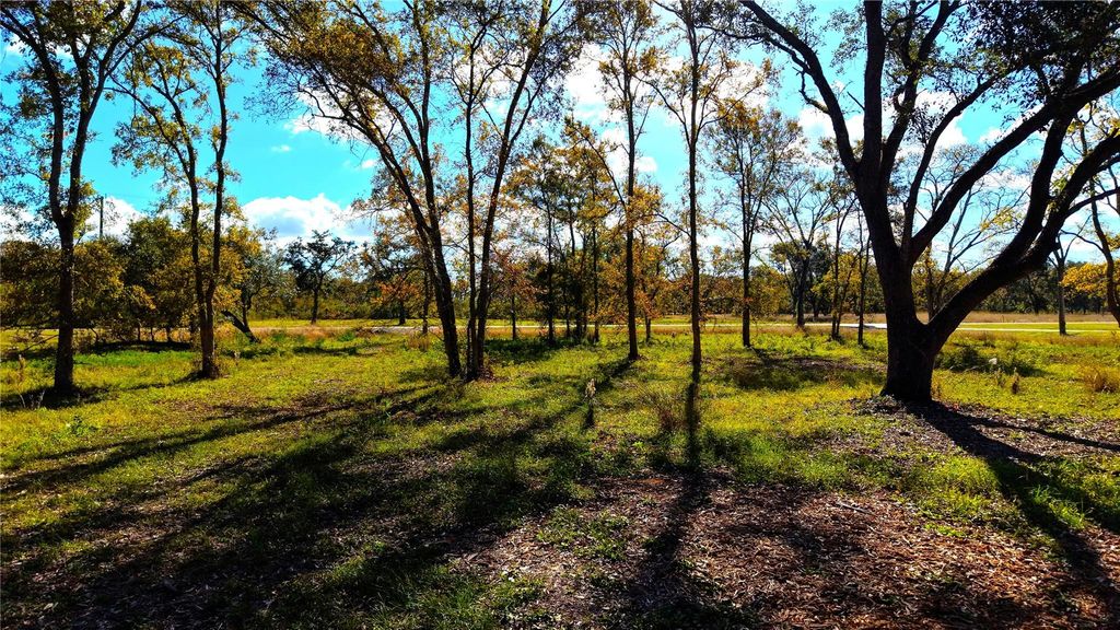 32002 Amberjack Drive, Richwood, TX 77515