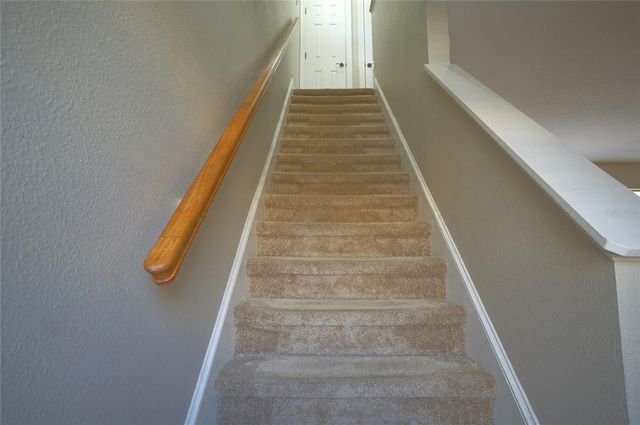 3333 LAS CAMPOS PLACE, Tampa, FL 33611