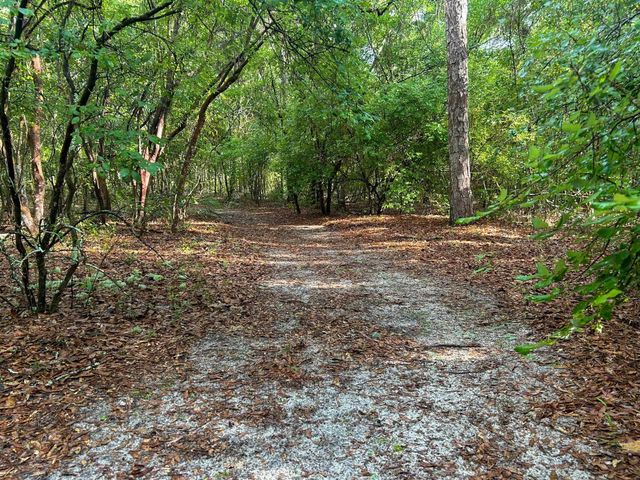 15303 Blue Boar Road, Tallahassee, FL 32310