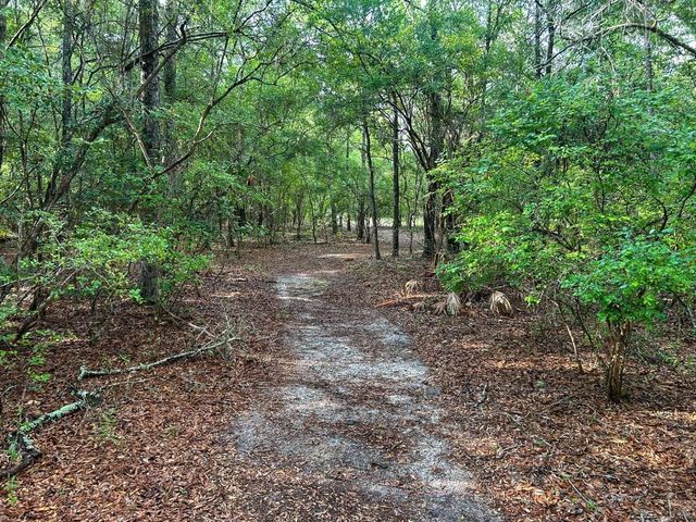 15303 Blue Boar Road, Tallahassee, FL 32310