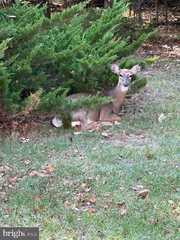 44424 LIVONIA TER, Ashburn, VA 20147