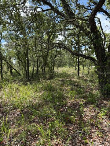 12470 BARNEVELDE ROAD, Weeki Wachee, FL 34614