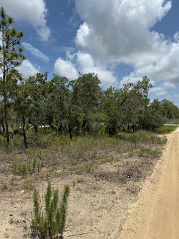 12470 BARNEVELDE ROAD, Weeki Wachee, FL 34614