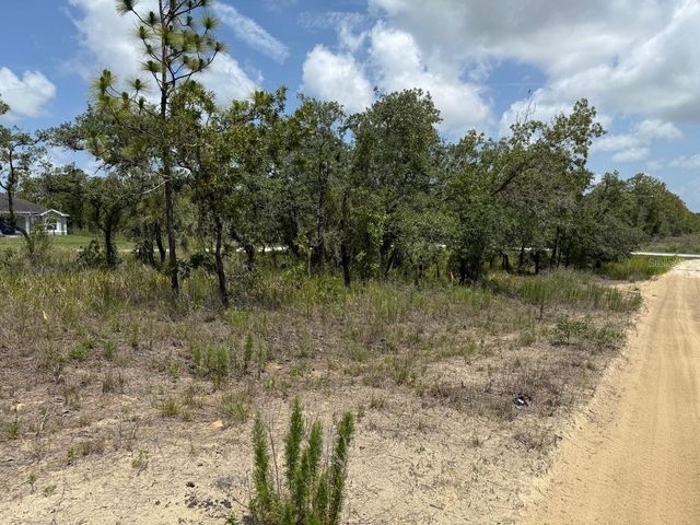 12470 BARNEVELDE ROAD, Weeki Wachee, FL 34614