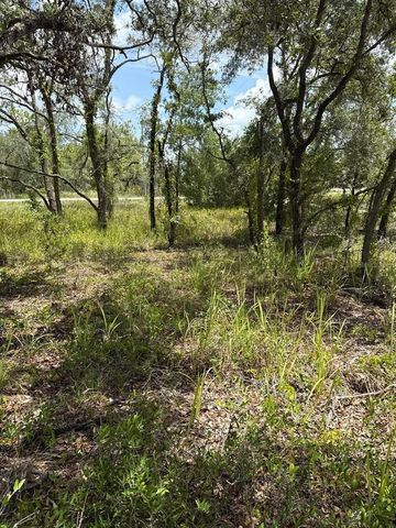 12470 BARNEVELDE ROAD, Weeki Wachee, FL 34614