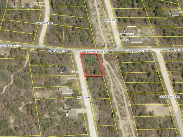 12470 BARNEVELDE ROAD, Weeki Wachee, FL 34614