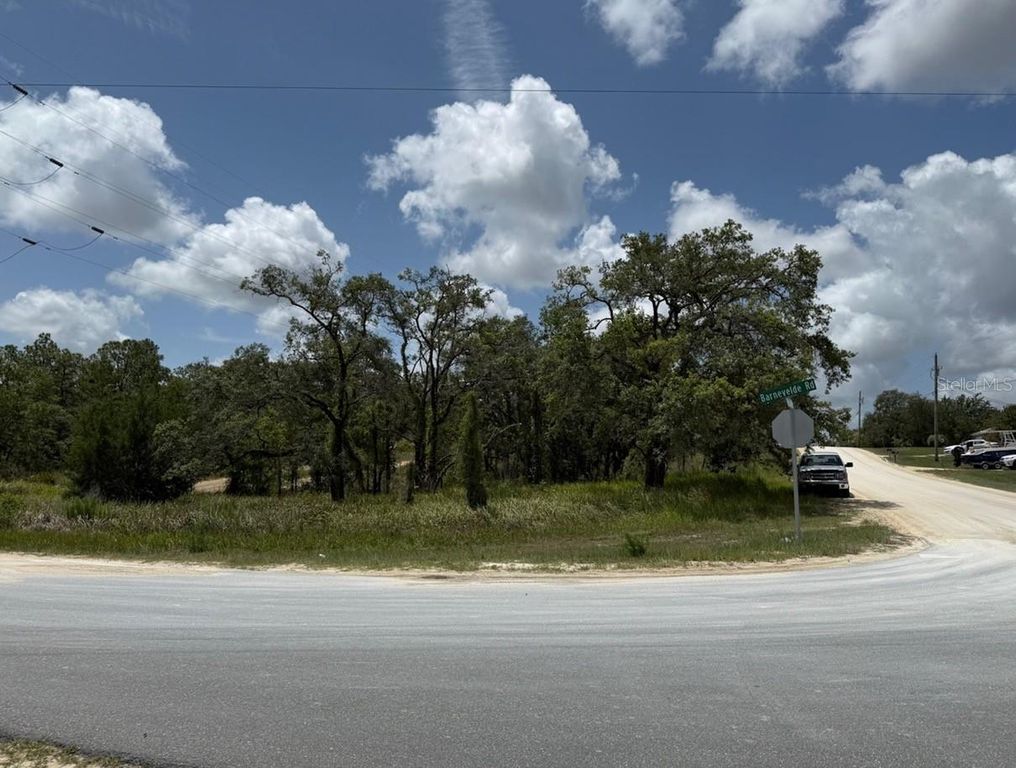 12470 BARNEVELDE ROAD, Weeki Wachee, FL 34614