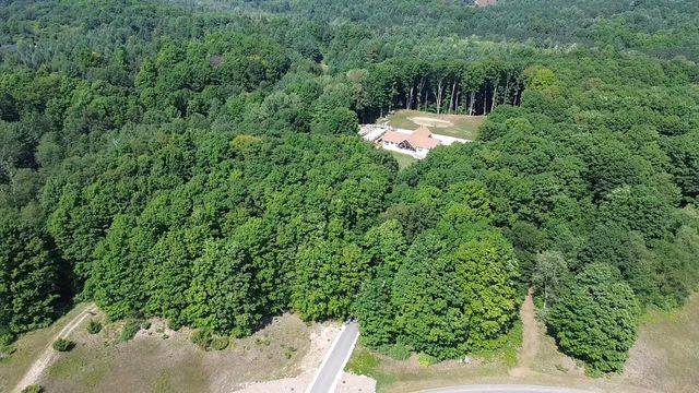 8986 Alden Meadows, Alden, MI 49612