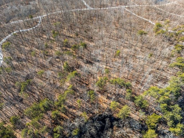 0 Bridal Veil South, Monteagle, TN 37356