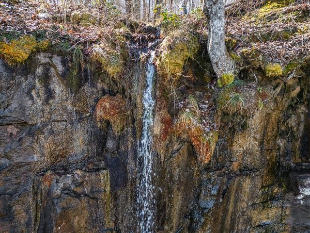 0 Bridal Veil South, Monteagle, TN 37356
