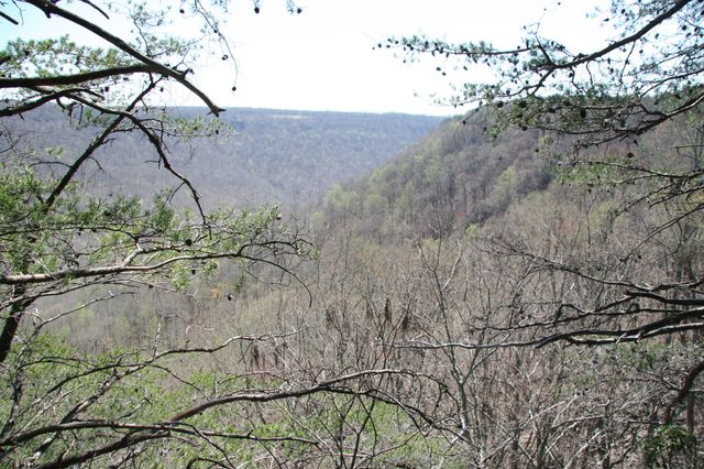 0 Bridal Veil South, Monteagle, TN 37356