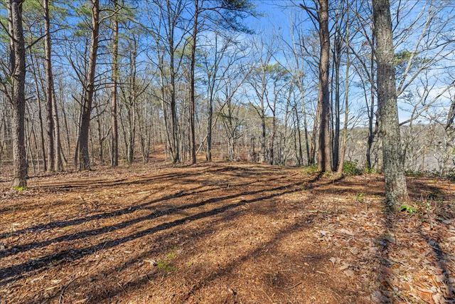 0 Bridal Veil South, Monteagle, TN 37356